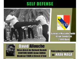 affiche stage David